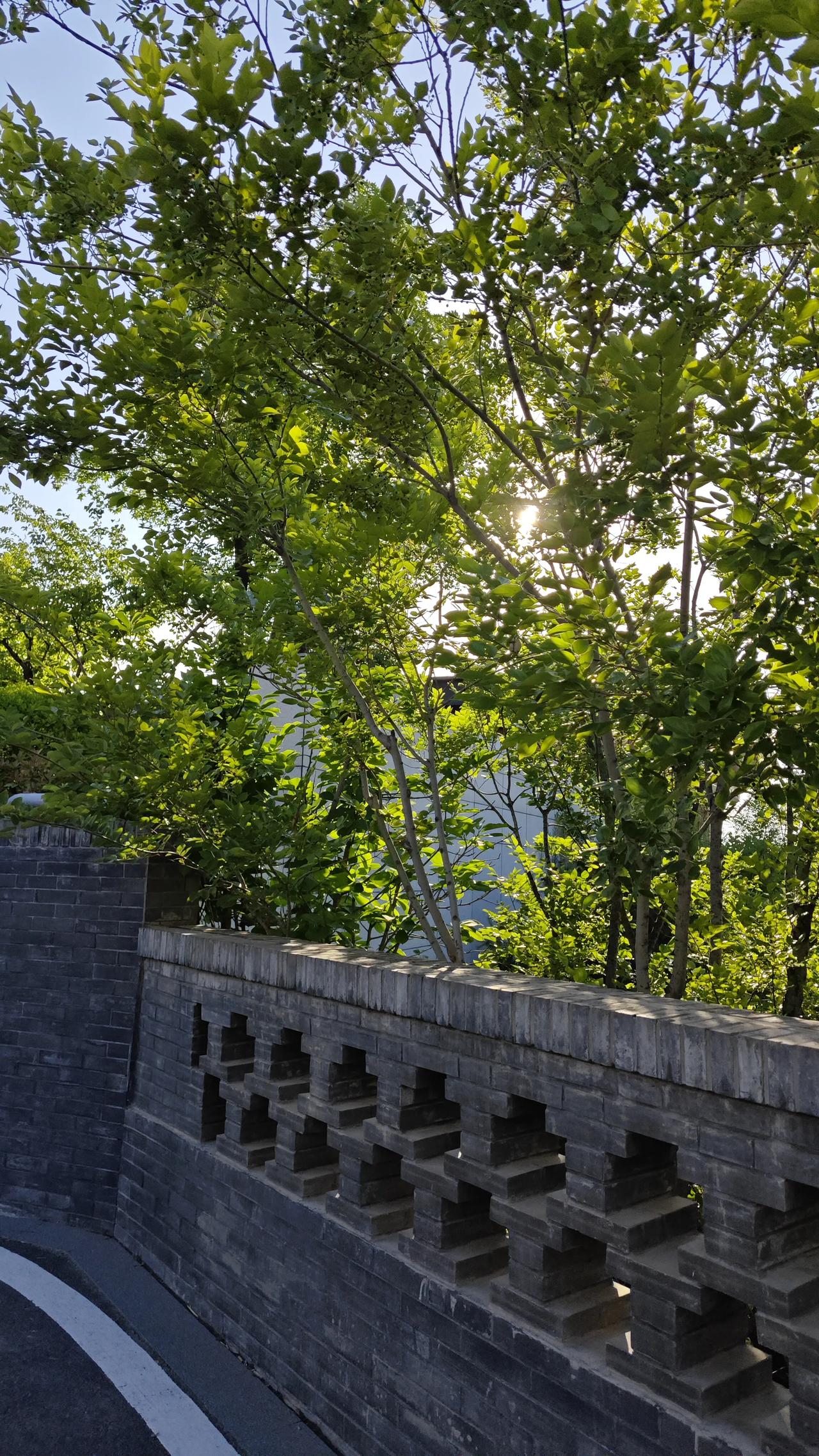 南怀瑾90岁那年说的这段话，我愣了好一会儿

先说我一个朋友的事。

他前几年踩