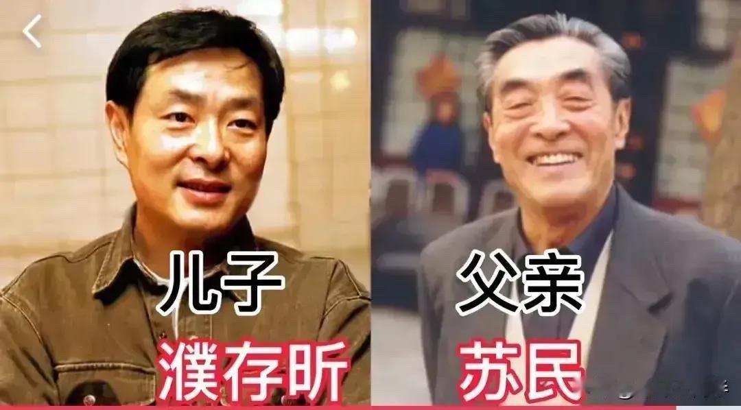 这些演艺世家父子父女，个个实力出众。

娱乐圈不少演员，出身于真正的演艺世家，父
