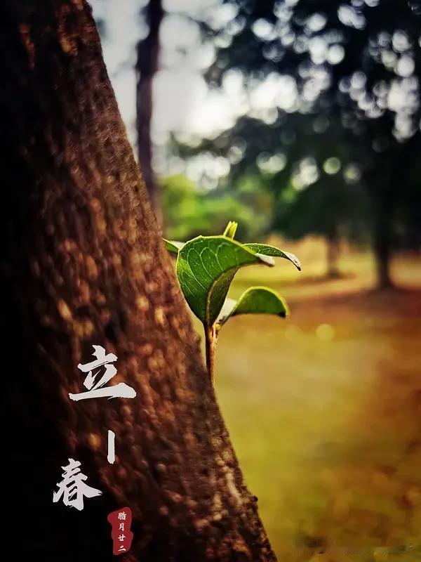 立春习俗不少，我觉得“咬春”最重要。这可不只是吃，而是和自然交接的仪式。“咬”得