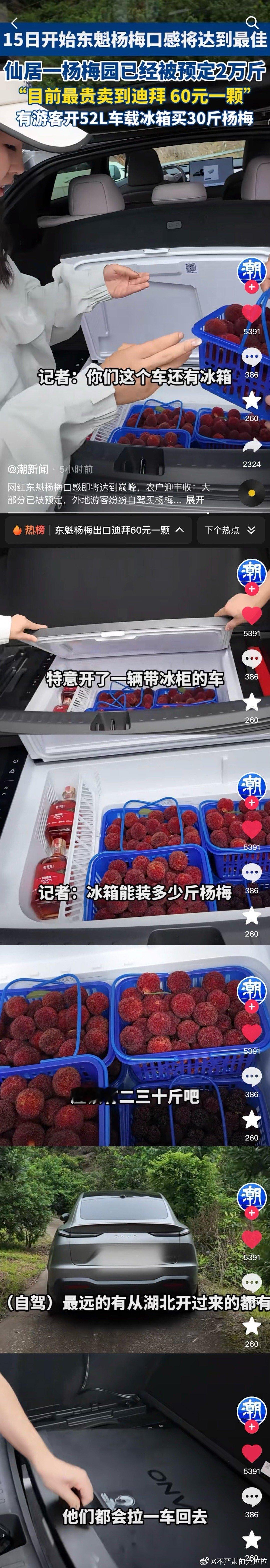 浙江杨梅卖到迪拜60元一颗乐道 l60我的日常PLOG 乖乖～乐道这个冰箱装满杨