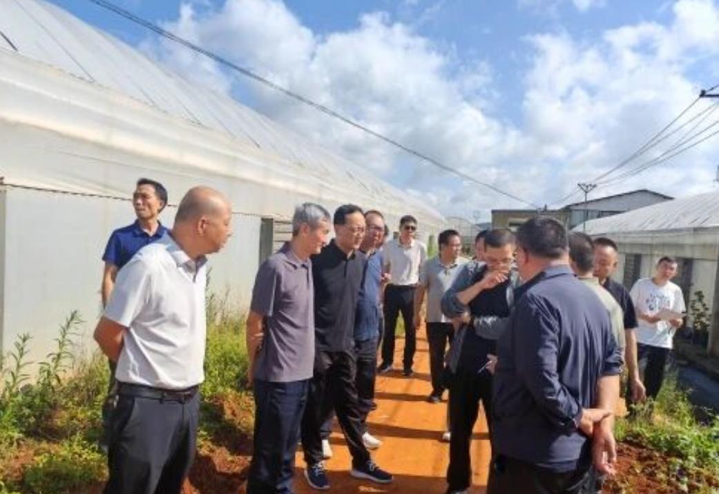 7月23日，云南省交通运输厅带队跑到晋宁，把昆玉铁路扩能改造全线施工点、管线迁改