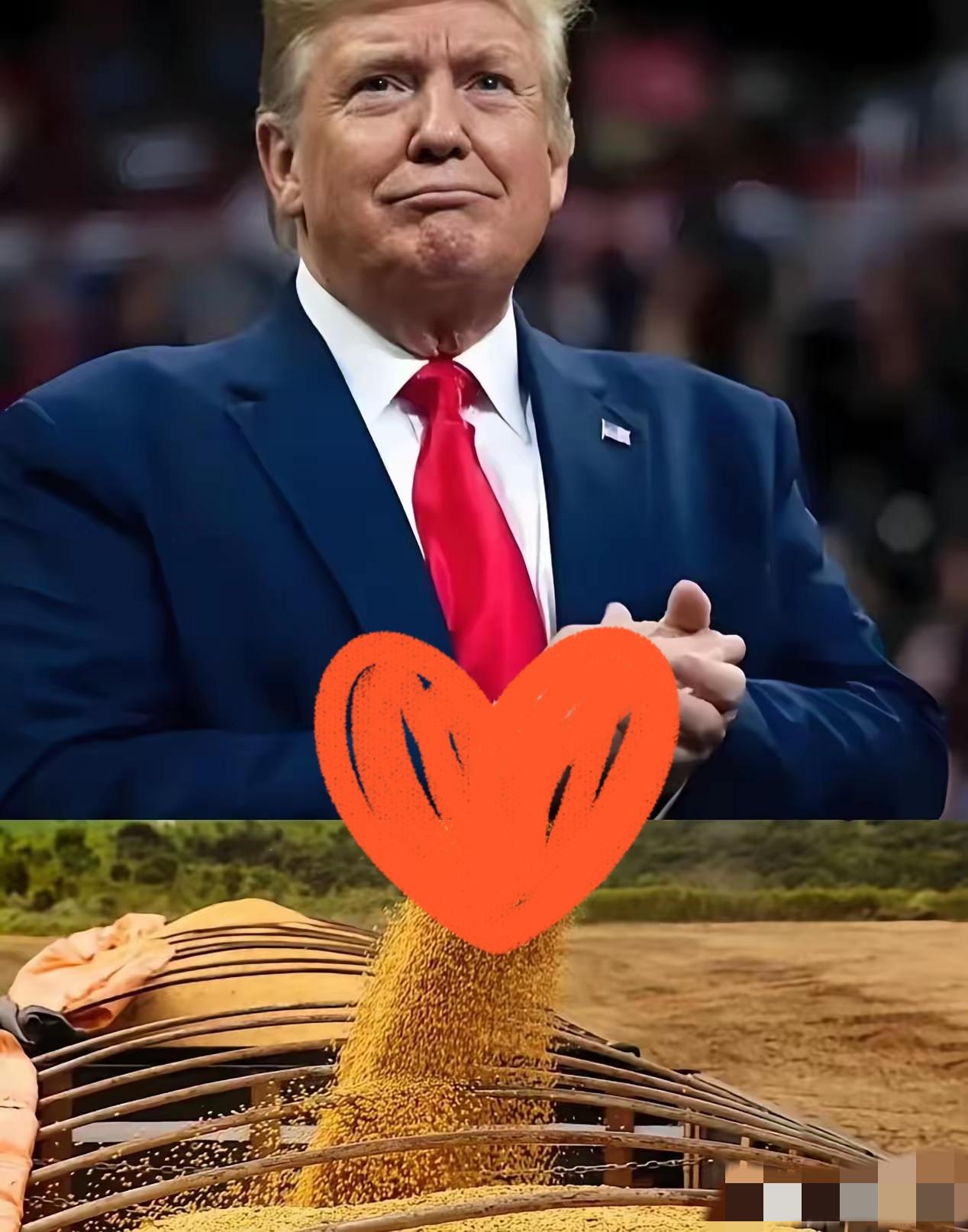 果真被大家猜对了，
18万吨大豆刚交易成功，
特朗普就在社交媒体上发声称这与芬太