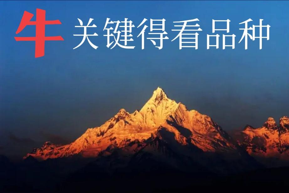 房子涨价谁受益？卖的都受益...
股票涨价谁受益？买的都受益...
人民币升值谁