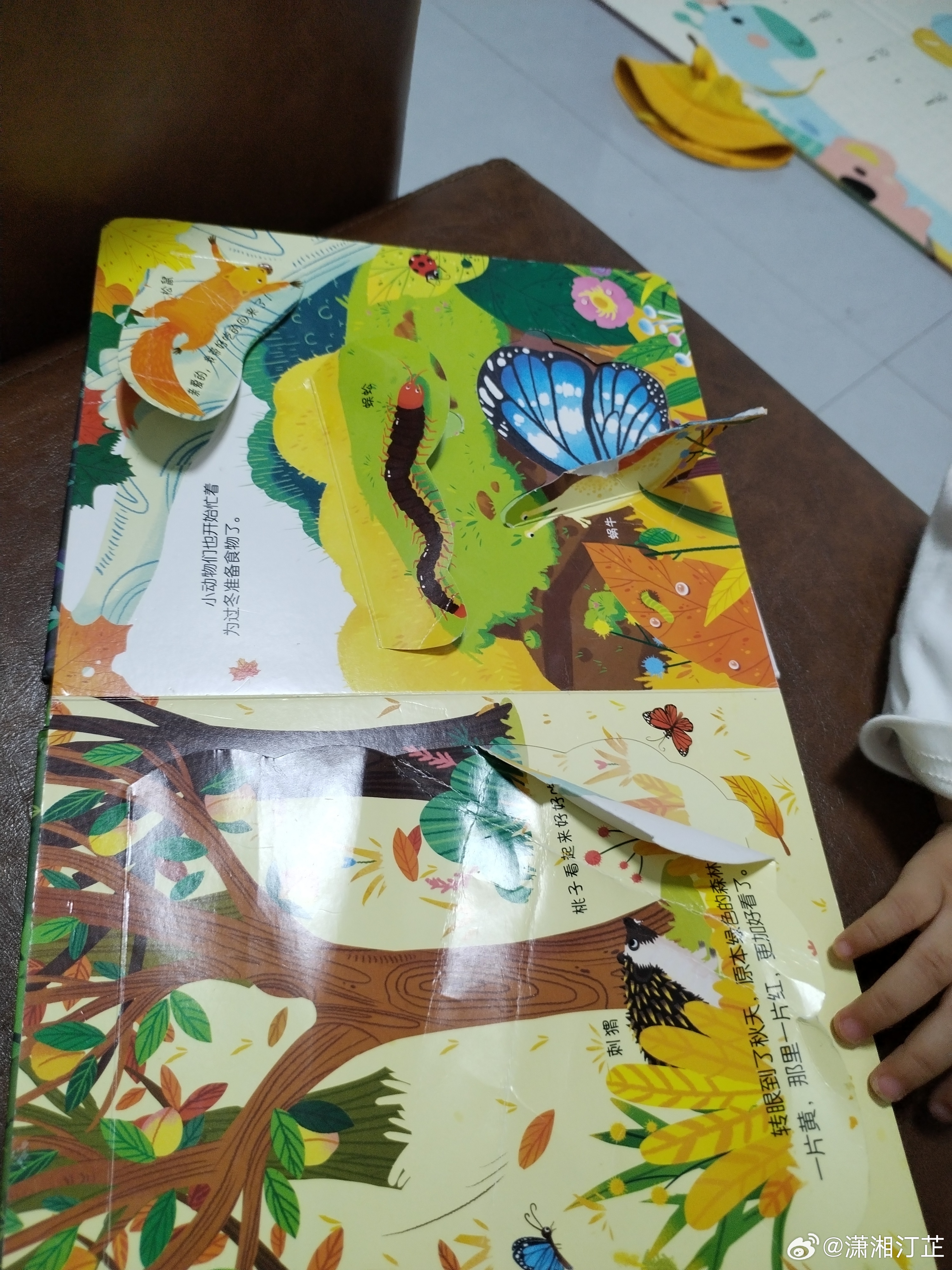 现在的小朋友…书还没看几次就被搞烂了人家还以为是被看坏的📚 