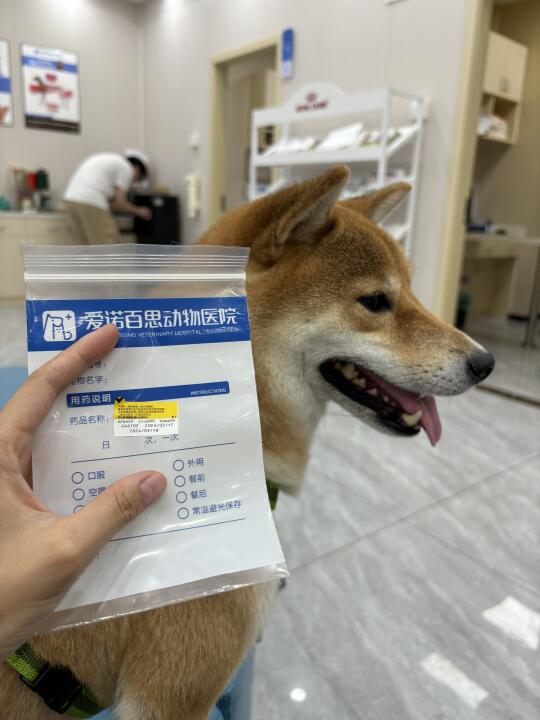 广州小狗也有勾端疫苗可以打啦！