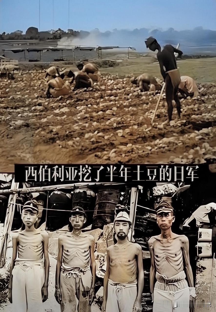 我敢保证这些天看这些照片是最痛快的事情之一，所以还是很佩服当年的大毛熊，这手段就