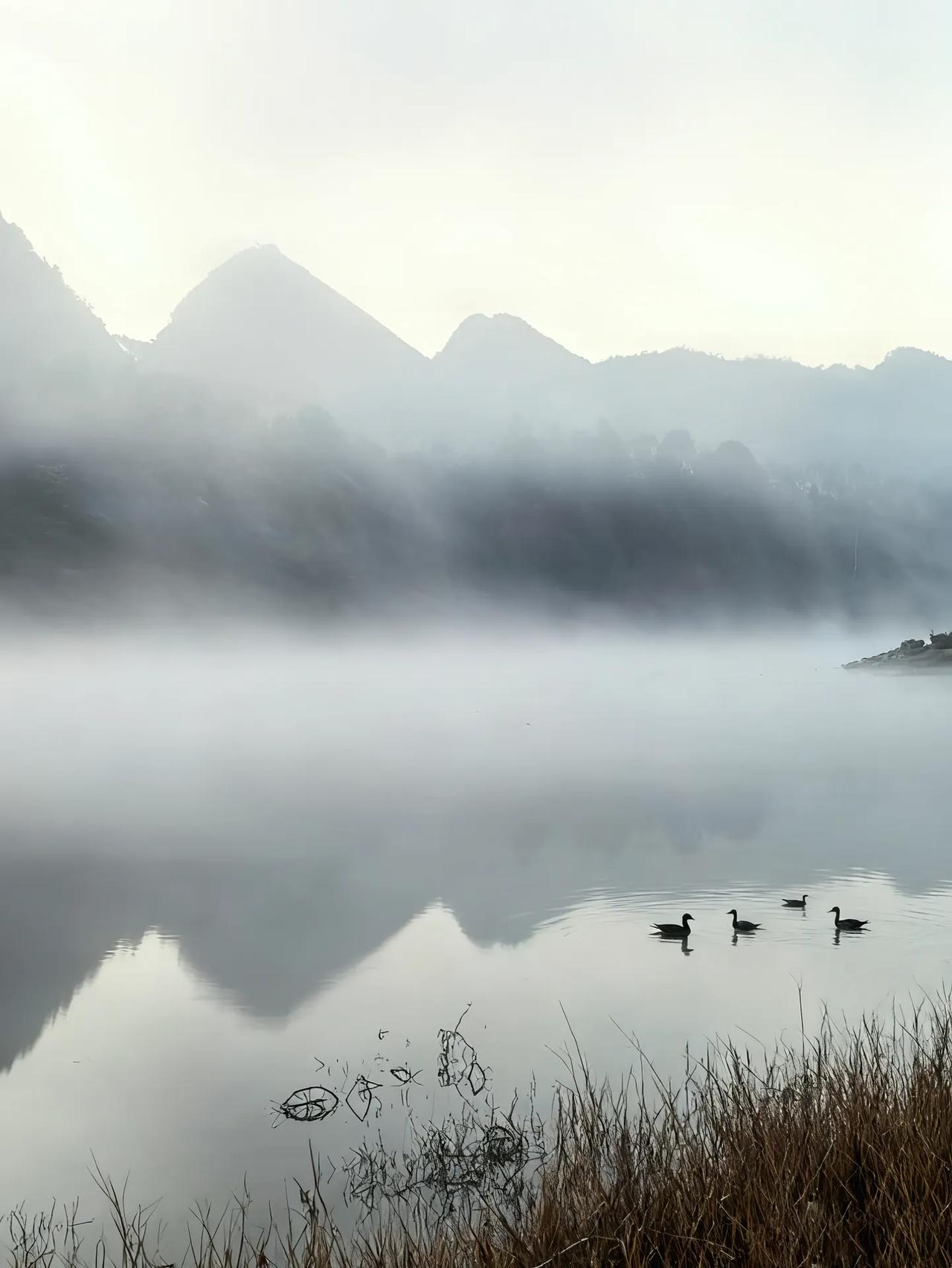 做父母的还是要注意这一点，尤其是妈妈。我看到有很多的妈妈见不得孩子休息，特别是优