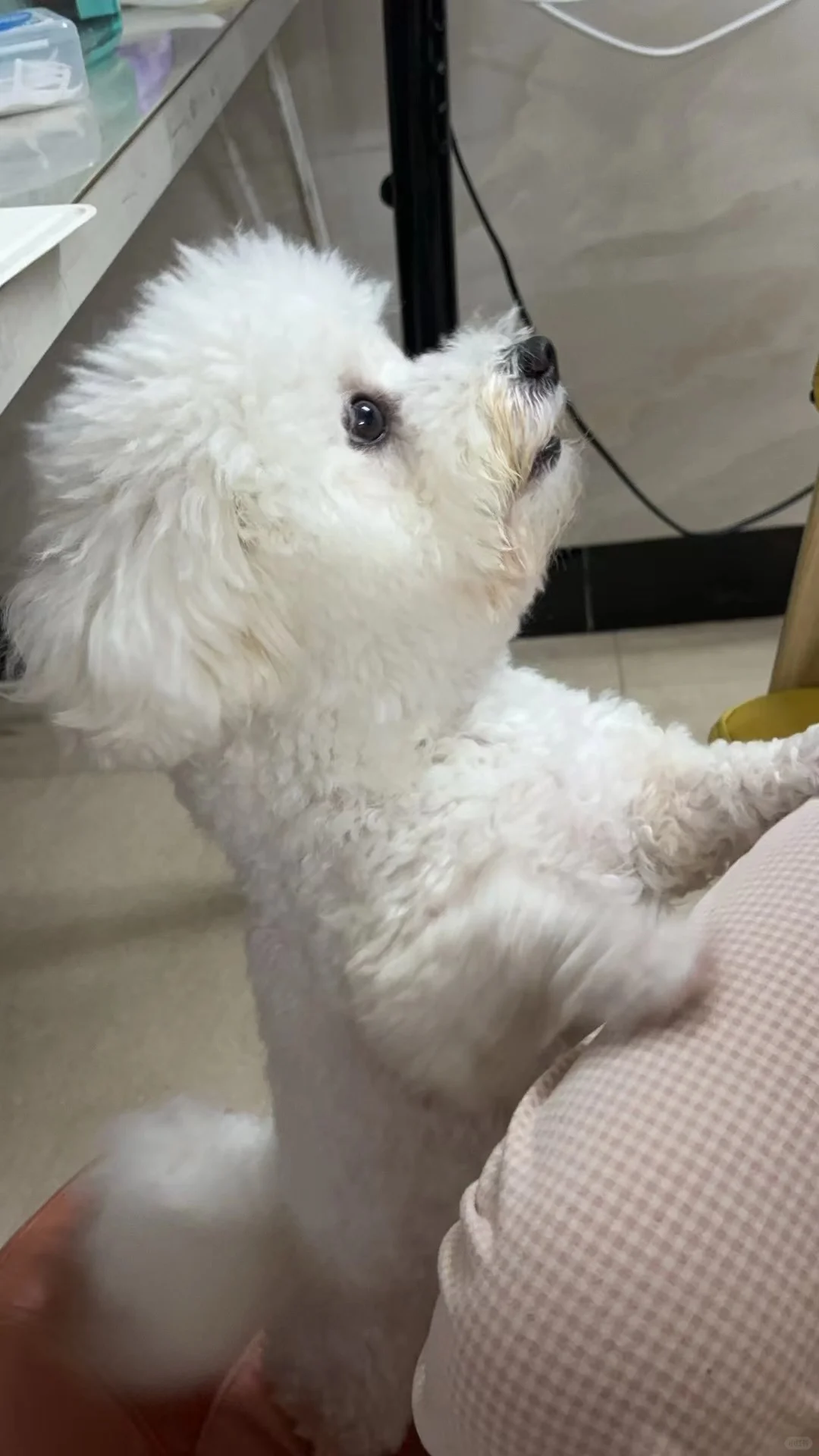 “麻麻又在吃什么呀”