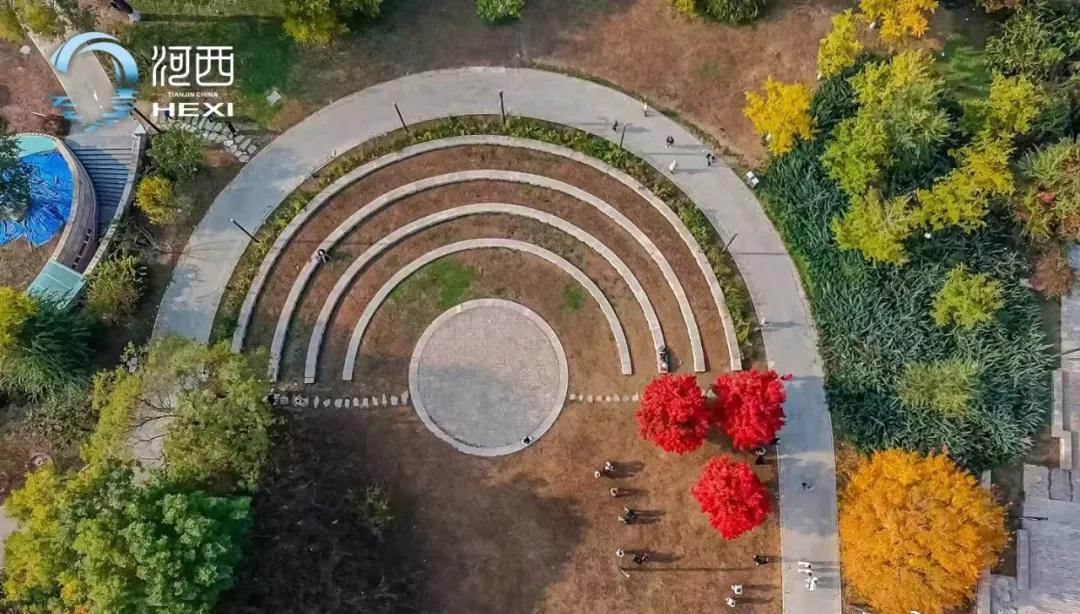 【印象西岸：秋环】秋日的颜色永远张扬，夏末未褪尽的绿，染上了日光煨熟的烫金
，和