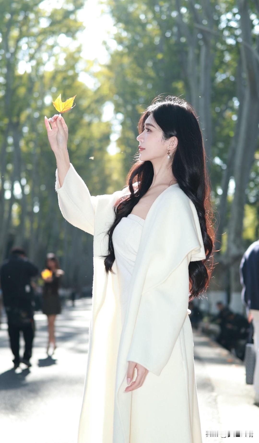 秋日漫步，轻纱飘逸，落叶相伴，唯美时光。