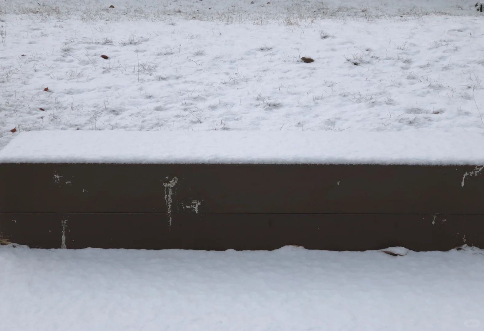 期待已久的“大雪”终于来了