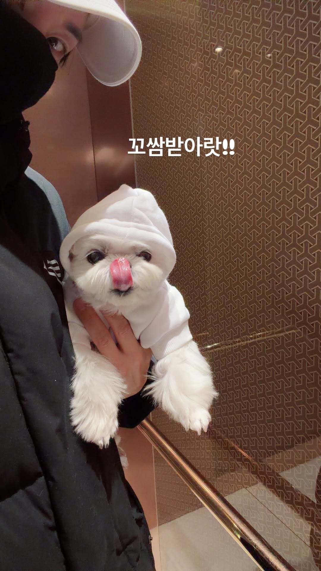 “CB百蓝_。260129利特 ins story更新：收下舔鼻子吧!! 