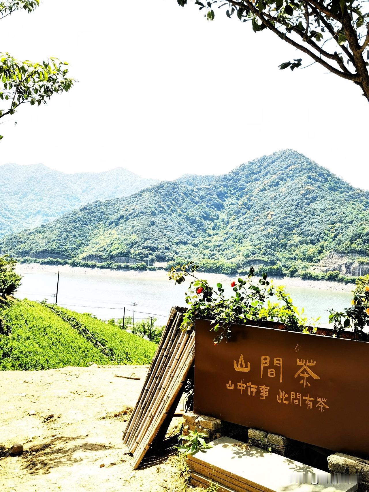 柯青农场：茶香染衣，山水入怀

站在半山腰的观景休闲平台上，风是带着茶香的，远处