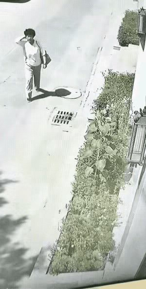 有些人就是天生坏种。损人利己的人，有规律可循，可以预判，可以预防，这种损人不利己