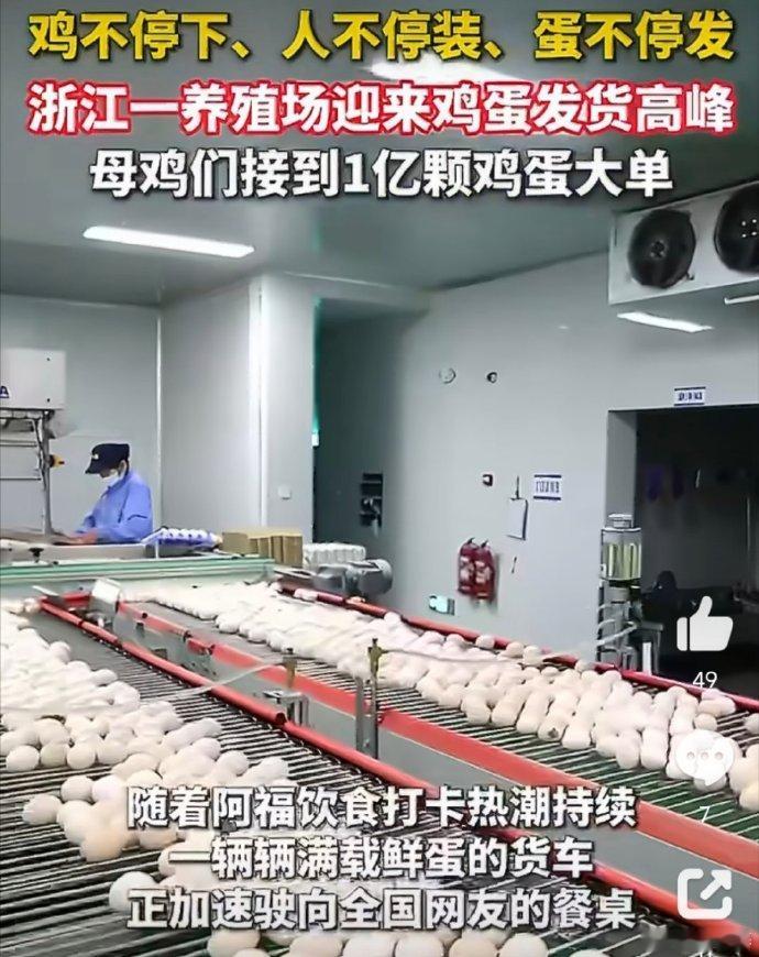 养殖场接到1亿颗鸡蛋大单 最近这类新闻比较多。感觉农学会是将来的一个发展方向。一