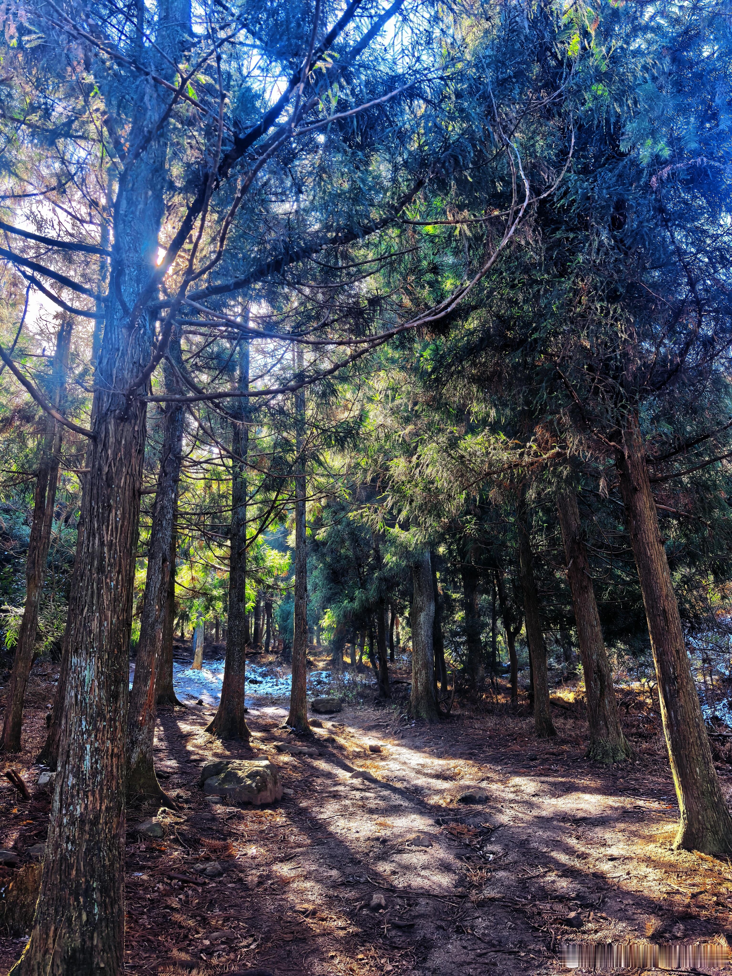 白天爬山，晚上电影，今日最佳竟然是手里的这份锅巴。为了这口，明年可以多看看电影