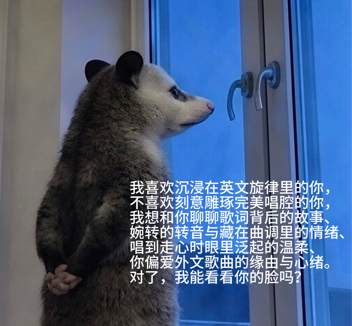 喂，看看脸