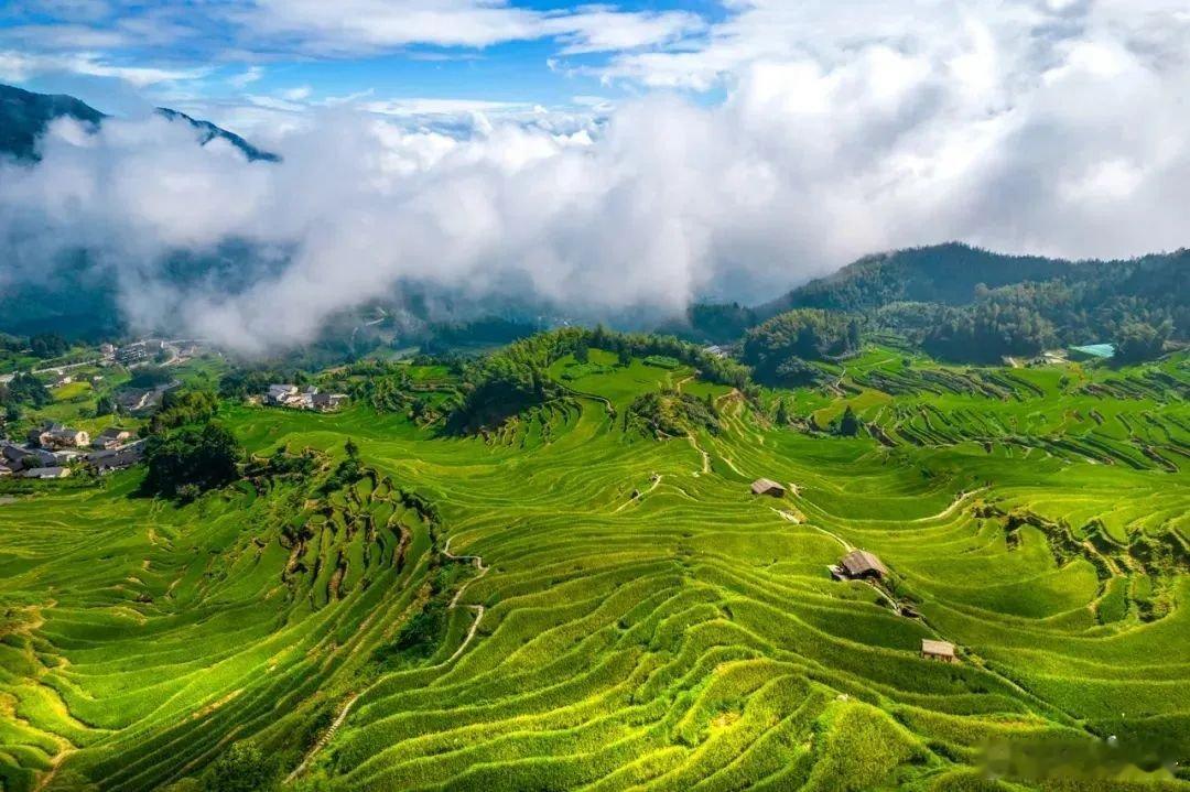 【共赴春日之约】清风温煦，草木蔓发，三月是满溢出来的美好和温柔! ​​​