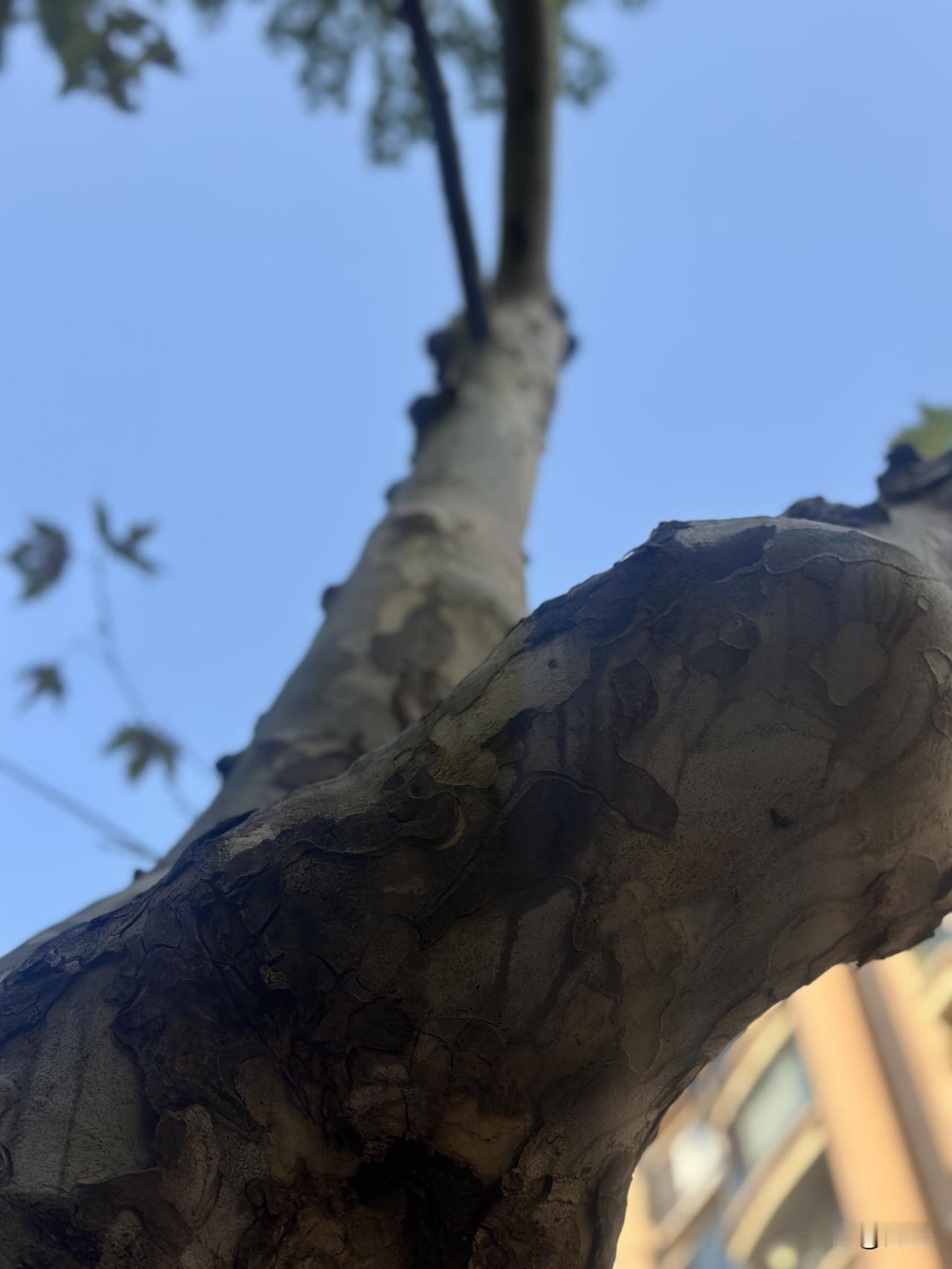 姐妹们不聊口红了！跨界时政圈，知识科普直接“卷”成段子！


“以前姐妹群在聊口