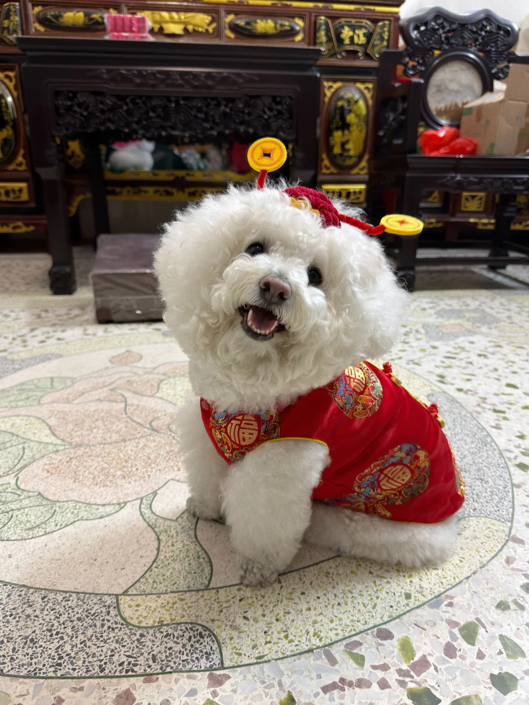 🧨馬年大吉🐎馬上有福🧧