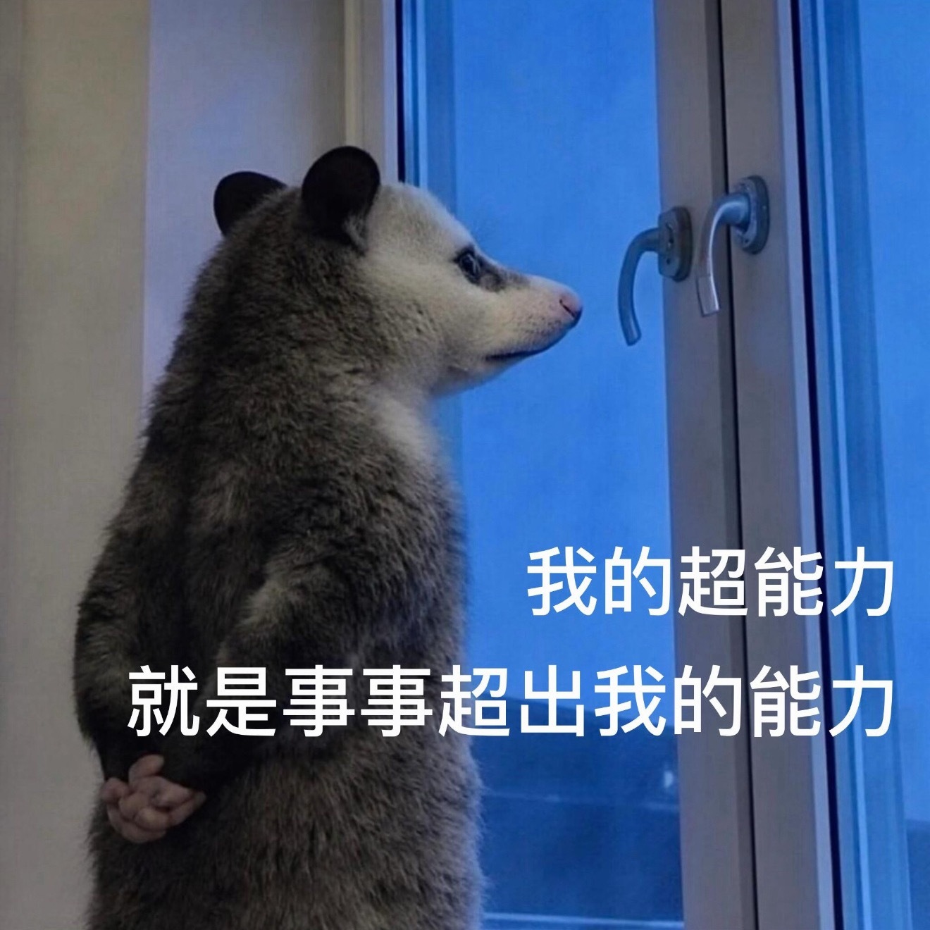爬山搭子不要找六七岁小孩，老师，上哪找六七岁小孩当搭子啊主要是我感觉六七岁小孩，