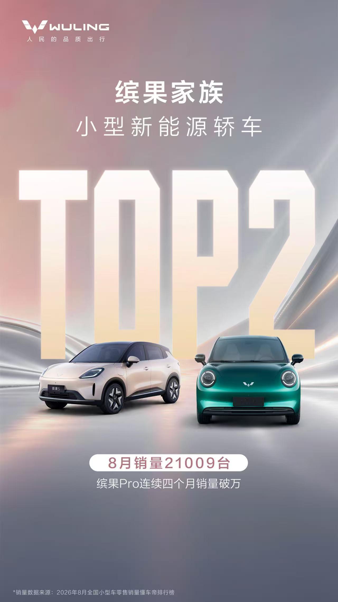一台好开好用的代步小车，市场自然会给出认可。缤果家族拿下8月细分市场销量第二，缤