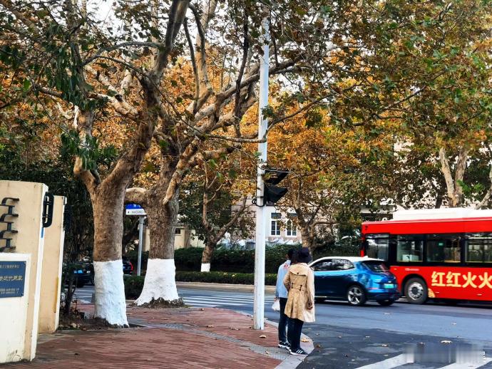 赵小童喜欢青岛未熟透的秋天  赵小童拍的青岛秋天 赵小童喜欢青岛未熟透的秋天，他
