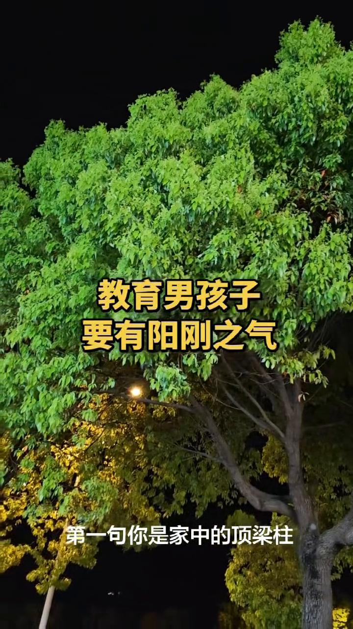 教育男孩子要有阳刚之气。
想让儿子性格阳刚，爸爸要反复灌输这6句话。
·第一句：