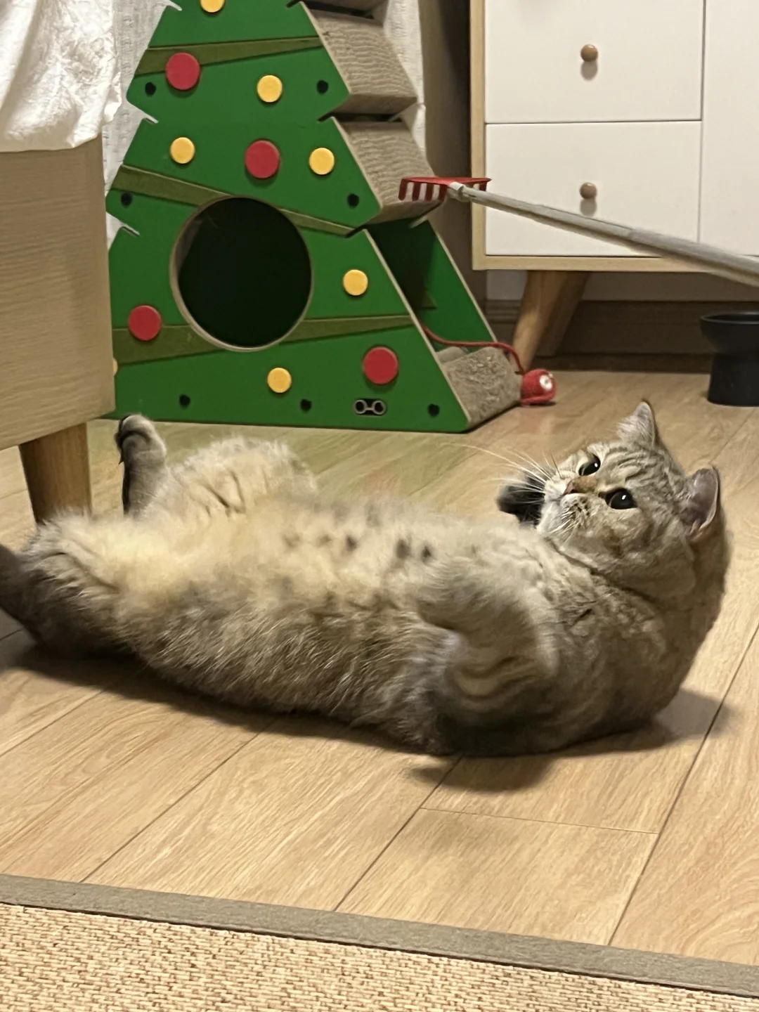 有些live只能拍到一次