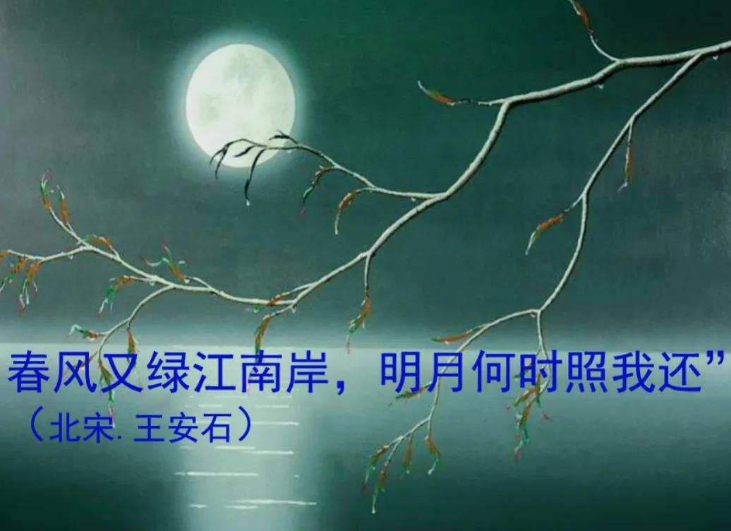 #请说出一句带月的诗句#
春风又绿江南岸，明月何时照我还？