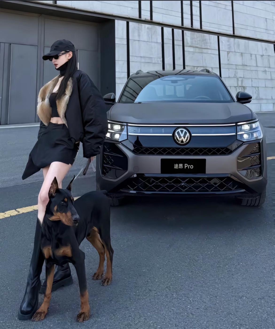 随着新能源汽车的补贴取消倒计时，燃油车会不会卷土重来，合资车的第二春会不会到来，