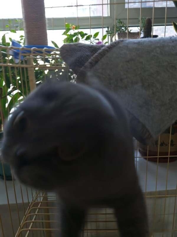 8552【】？ ​​​