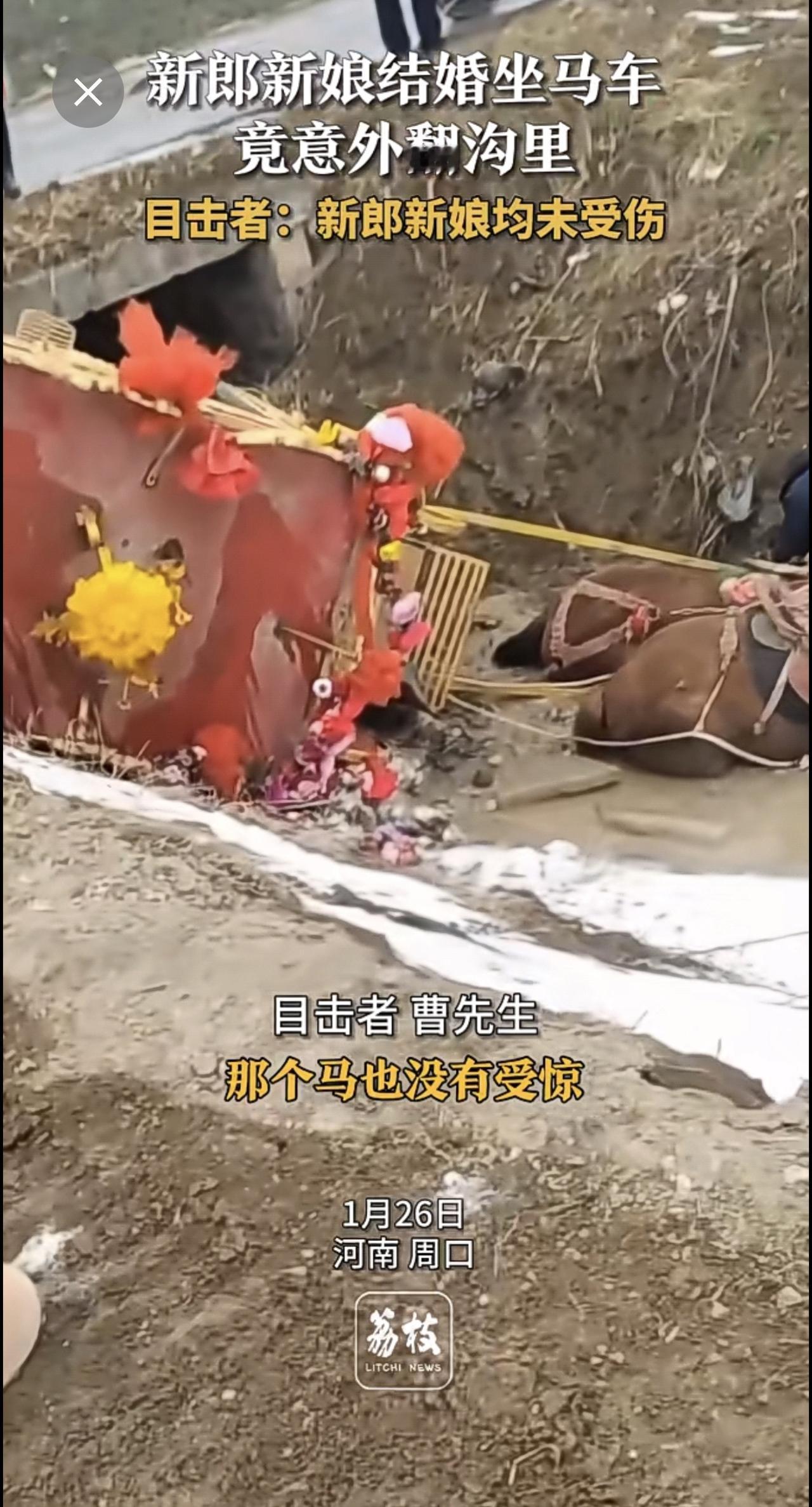 新郎新娘结婚坐马车竟意外翻沟里 目击者：新郎新娘均未受伤腊八节 结婚