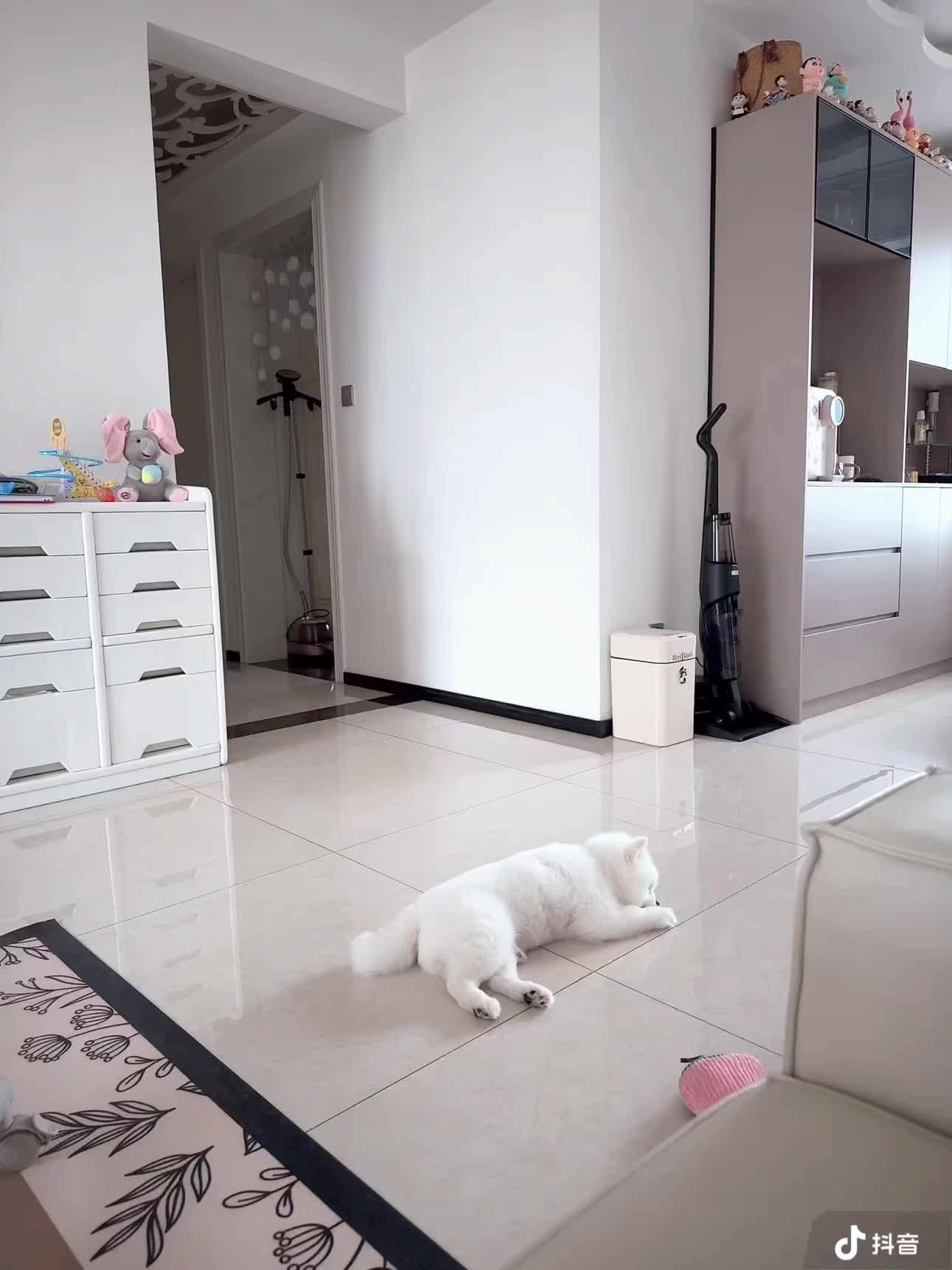 听说世界上原本没有超人   直到我们当了妈妈   那个在睡梦中的人  ...