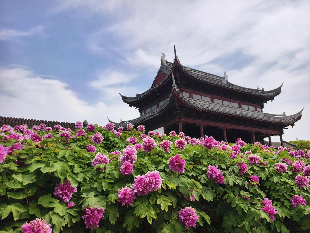 汝南天中文化园，藏着“天下之中”的千年文脉￼￼￼。周公测影定地中，大禹分九州豫为