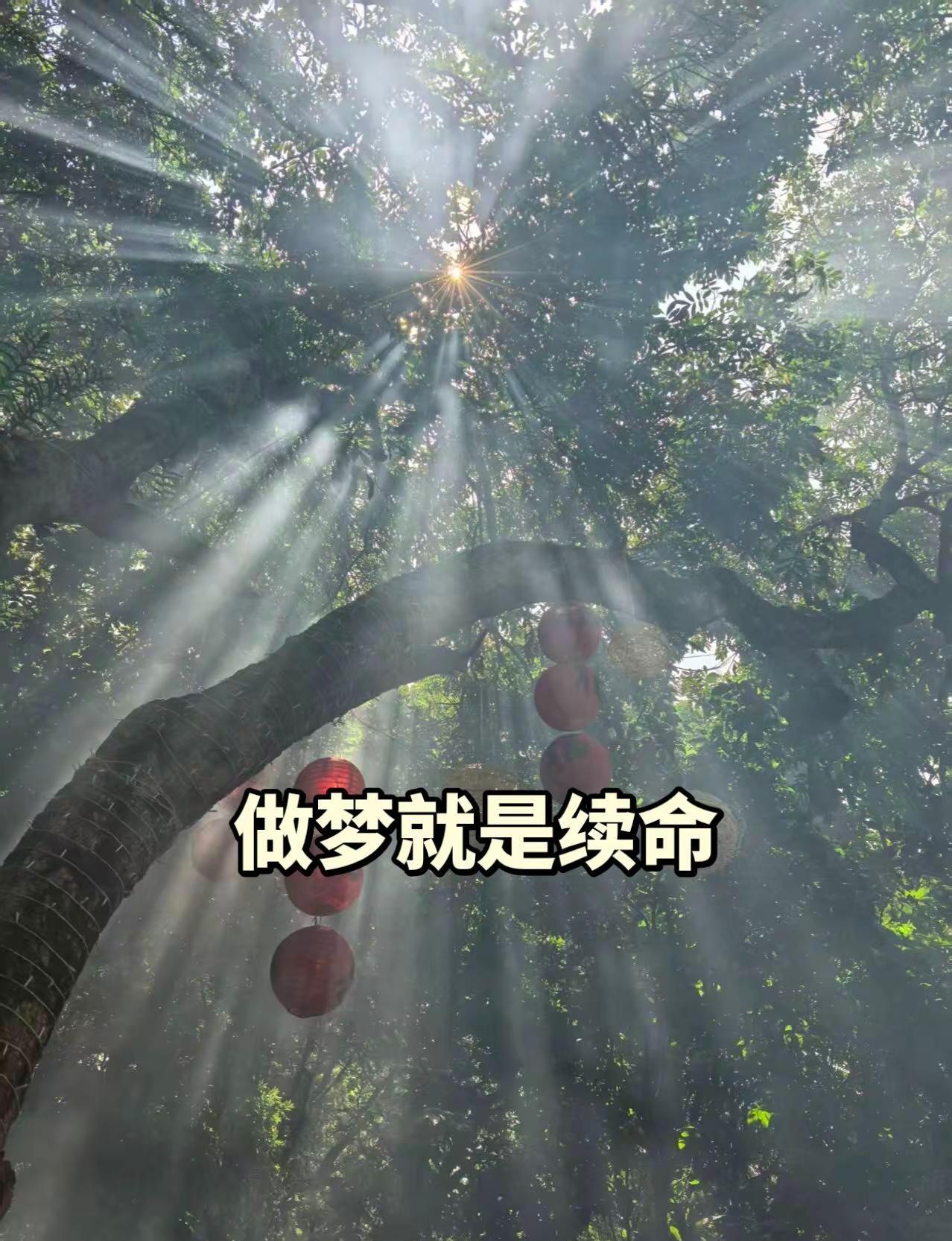 2026澳门乒乓球单打世界杯，女单1/4中国选手孙颖莎战七局以4:3胜埃及选手，