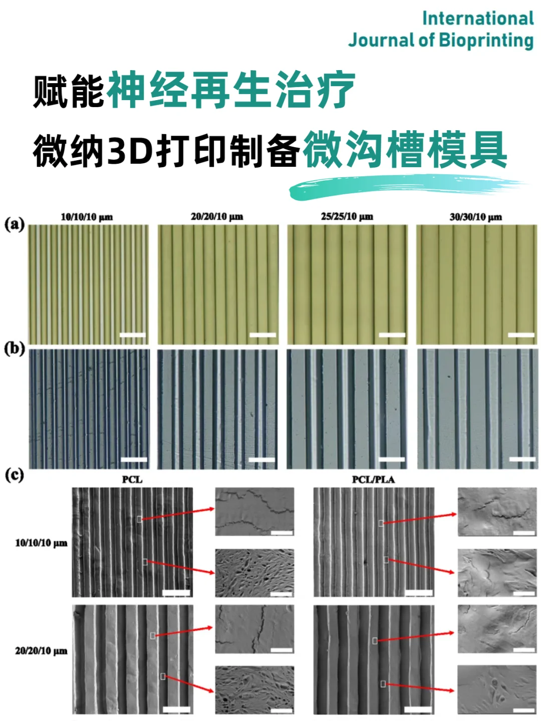高精密微沟槽神经导管赋能神经再生🔥