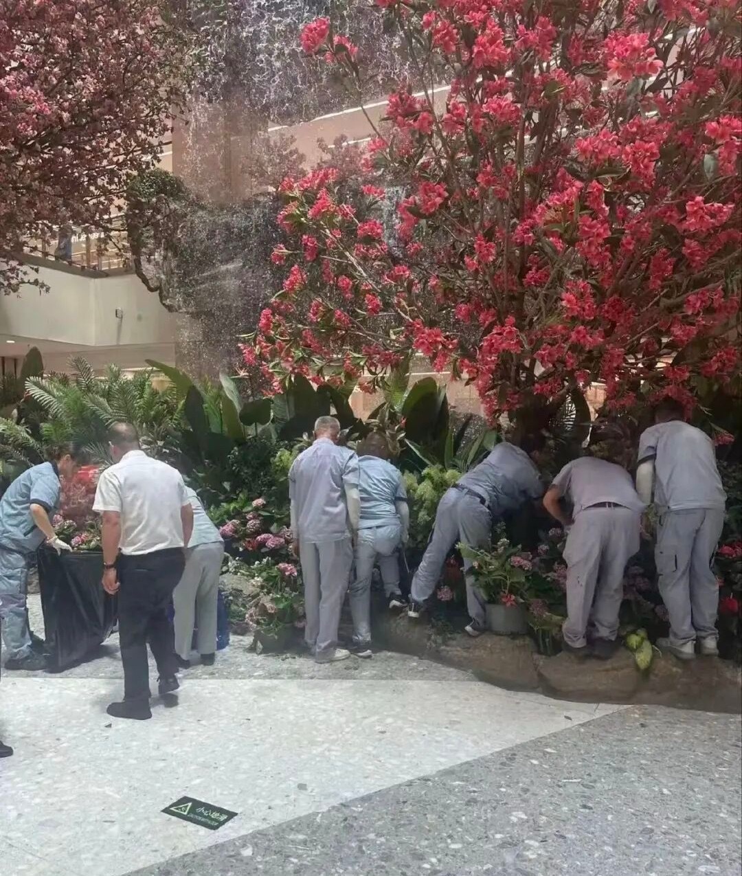 【陕西 商户老板疑被罚千万终跳楼  商场有无罚款权】郑鱼 郑鱼 法度Law   