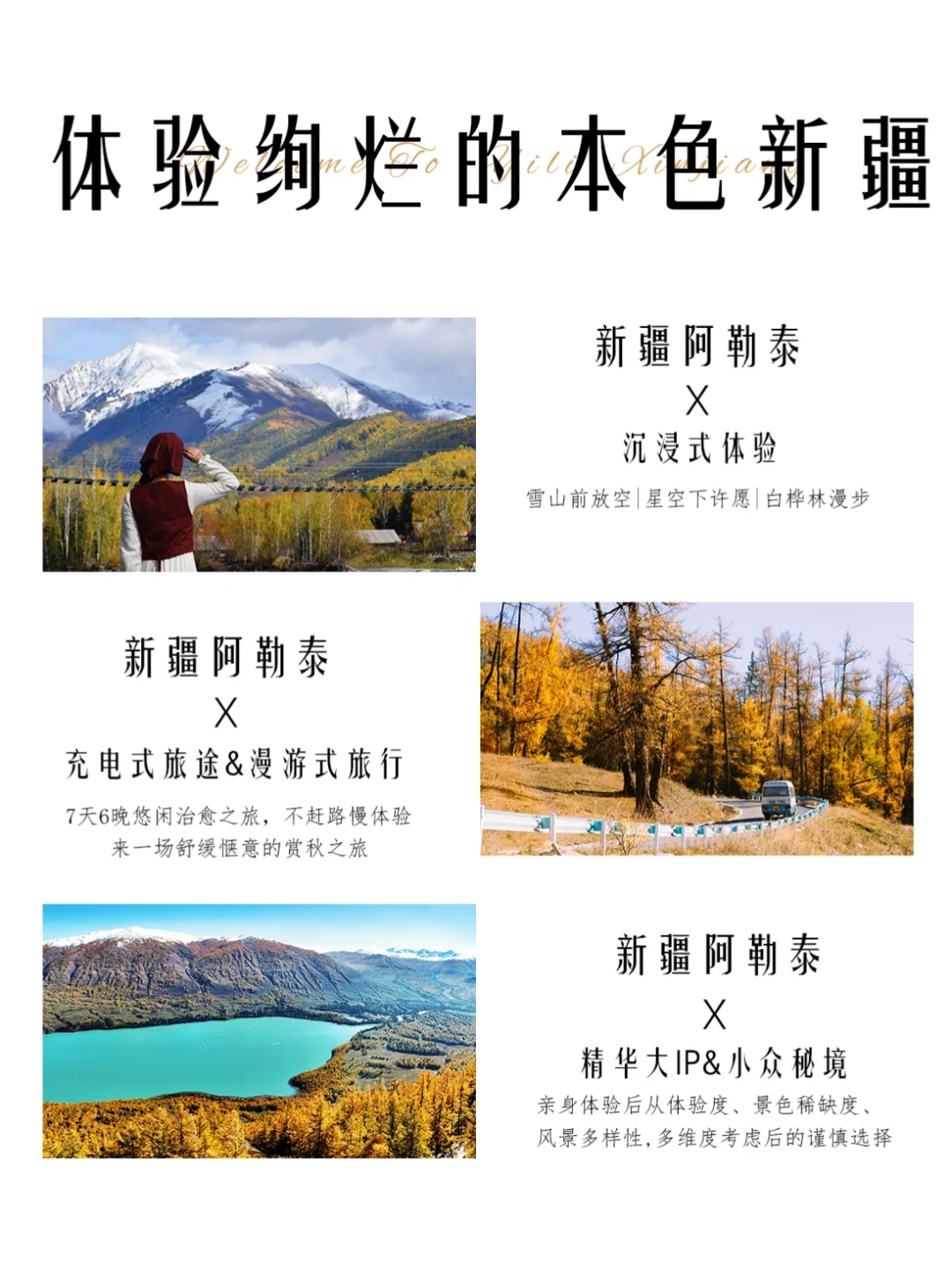 上新·【赏秋版】阿勒泰｜舒适7️⃣天👉左滑解锁