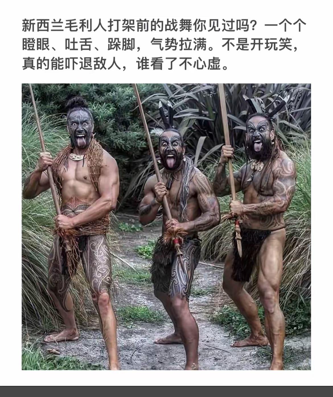毛利人战舞震撼登场，感受原始力量！