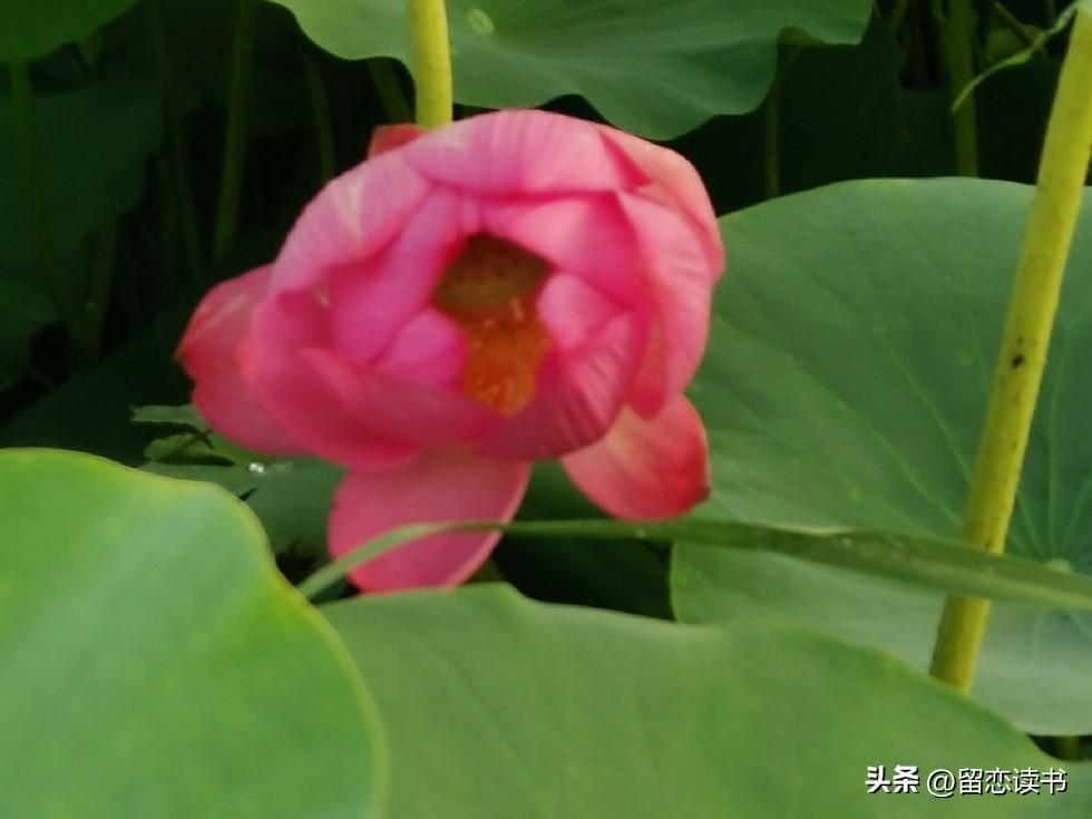 拎得清的婆婆，都应该懂得这3句话：
一，天底下没有哪个儿媳妇，能真心实意地对婆婆