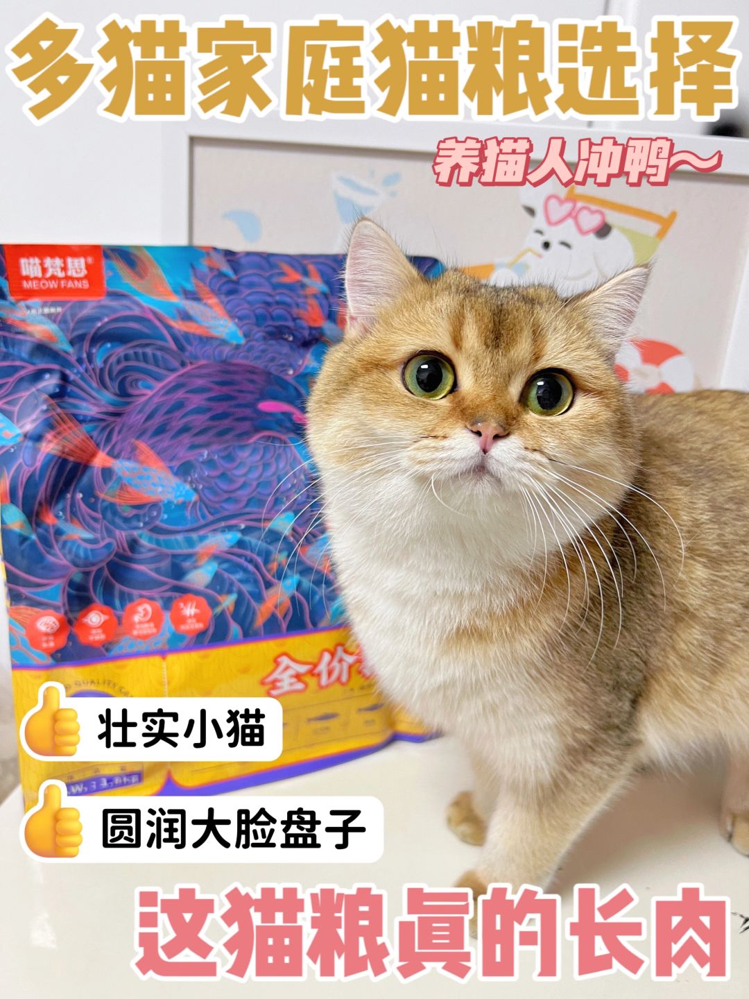 多猫家庭极致性价比猫粮！养猫月均不过百！