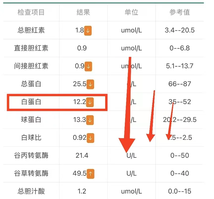 肝硬化白蛋白低了怎么办？这份食谱请收下！
