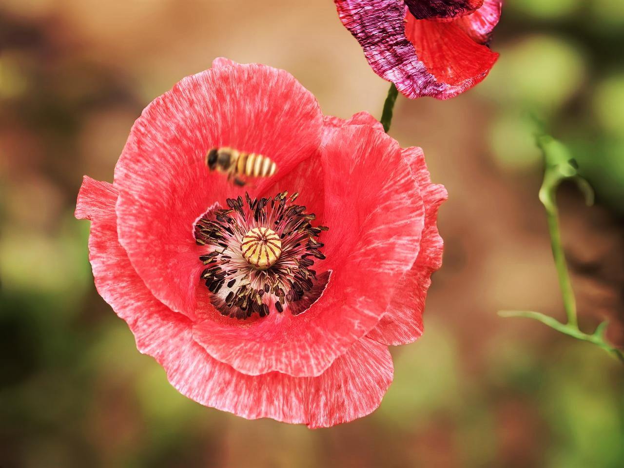 退了更好！我的花正开得烂漫，我的茶清香四溢，还有我正在潜心练书法！村里人办事也常