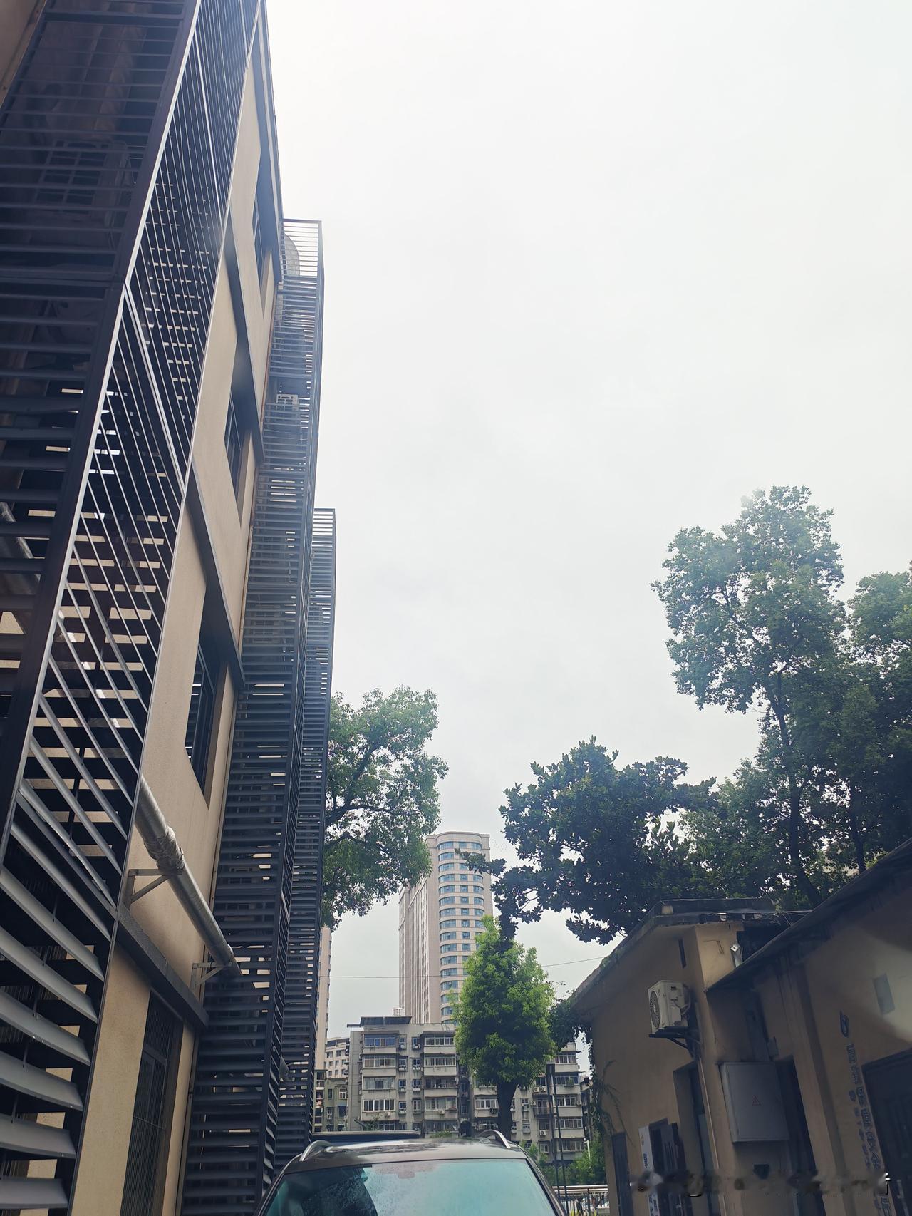 六月的日历，翻得比想象中更快。

一页是儿童节的欢笑，还没散场；一页是粽叶飘香，