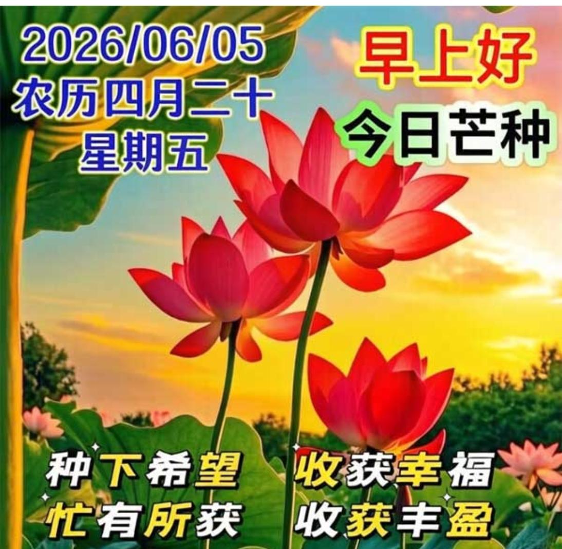 早上好！今日是2026年6月5日，农历四月二十，星期五，芒种节气，芒种是二十四节