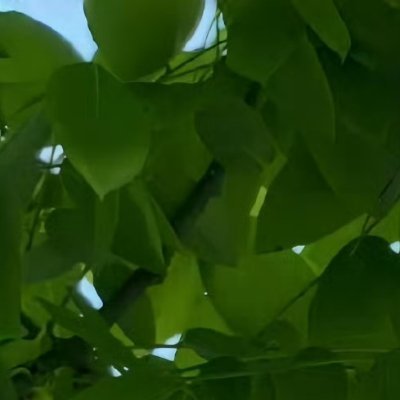 阳光信用 🍃每日一善 🍃阳光信用 你今天的努力，是幸运的伏笔，当下的付出，是