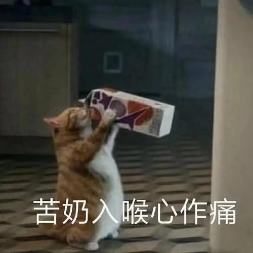 迪丽热巴 心碎碎💔大家都不来和星星玩，好吧好吧，你们就这样吧！就让我独自喝奶到