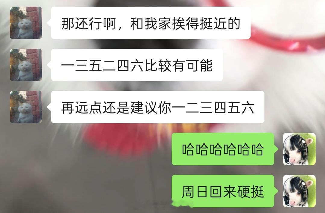 已入住，本来还想体验一下有暖气的北方生活，马上被生活打了一巴掌。还好有我的诡秘们