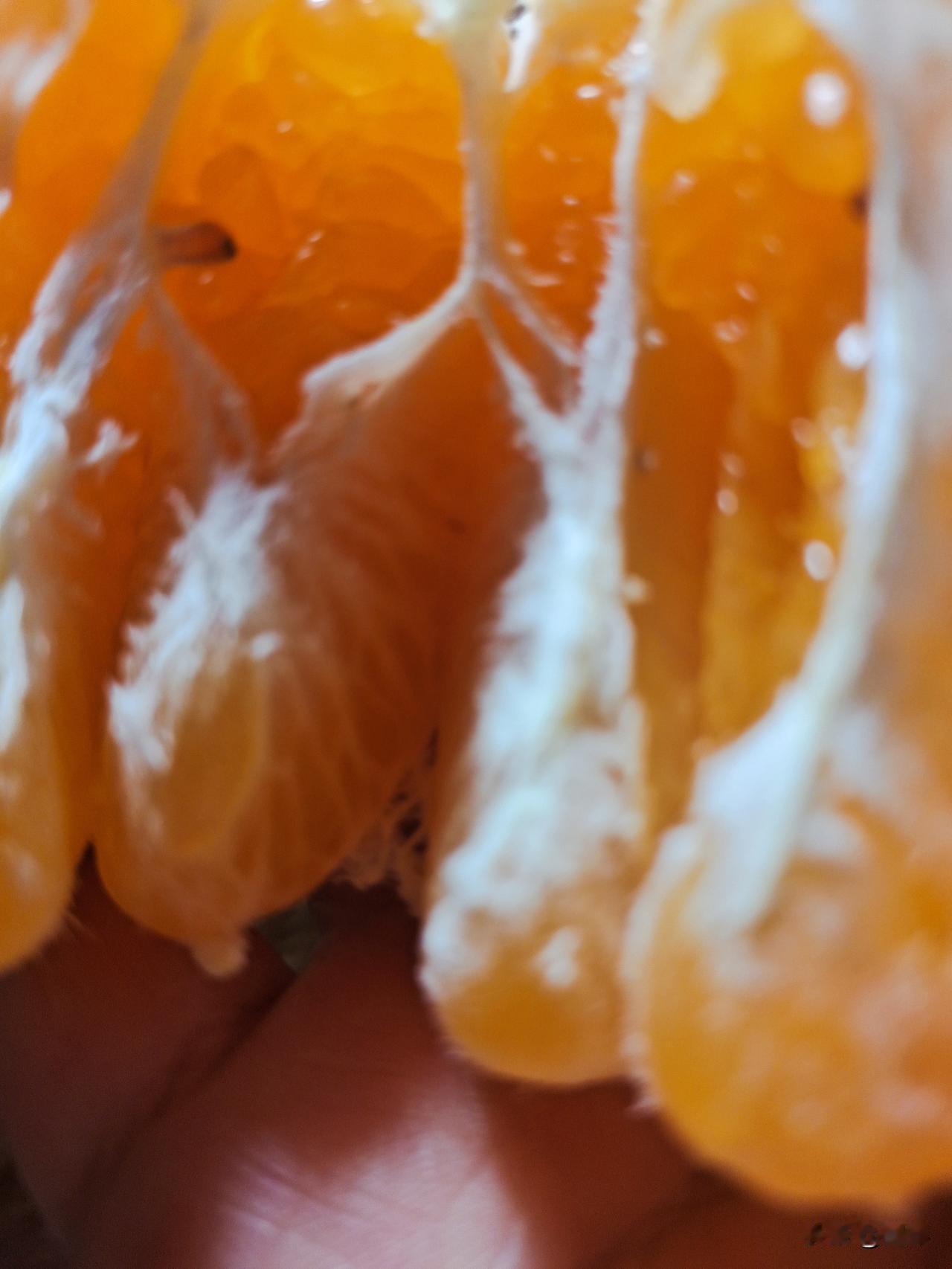 你们喜欢吃爱媛果冻橙还是耙耙柑？


说起这两种水果，它们都有自己的优势，补充维